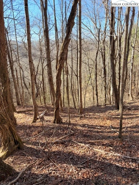 Image number 21 for the current listing