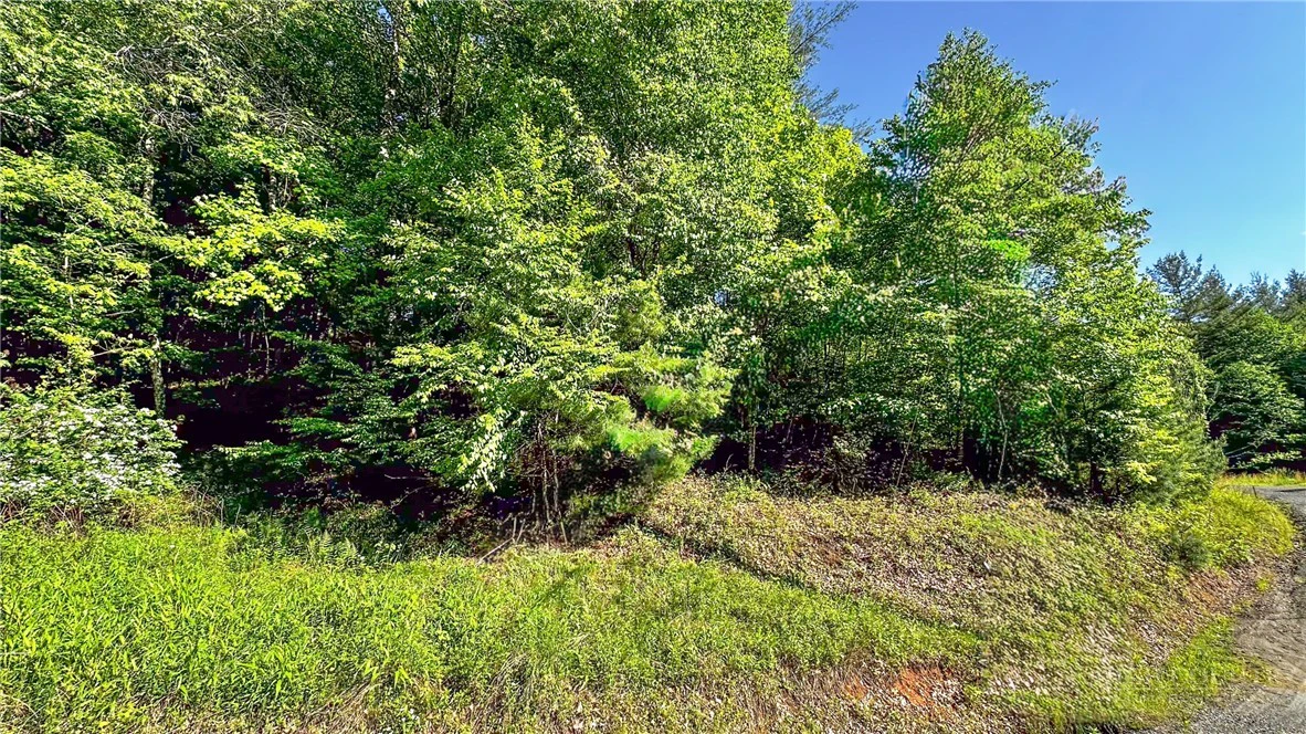 Image number 2 for the current listing