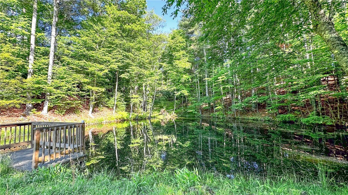 Image number 3 for the current listing