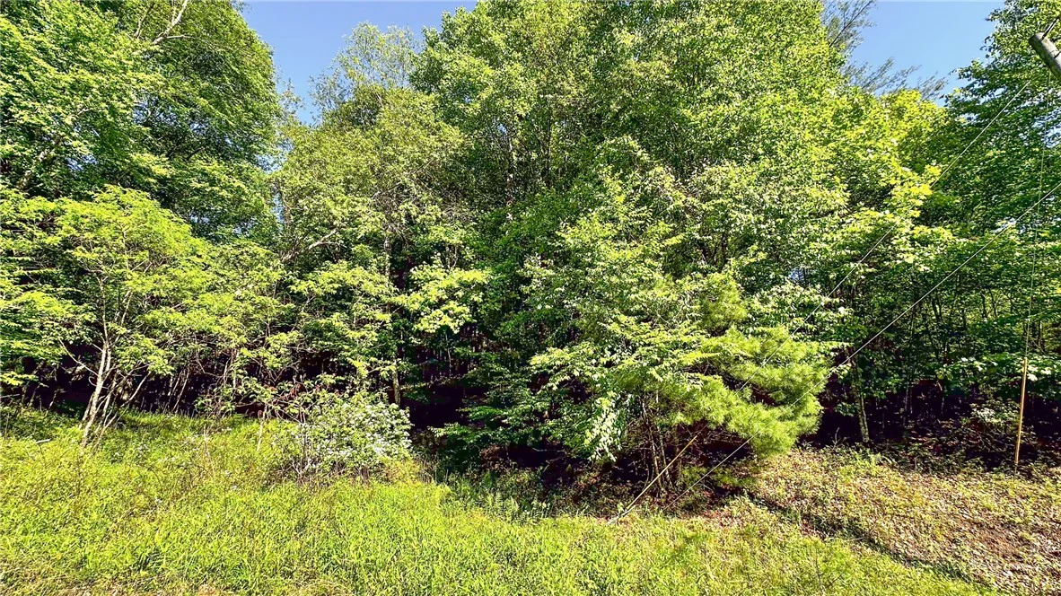 Image number 4 for the current listing