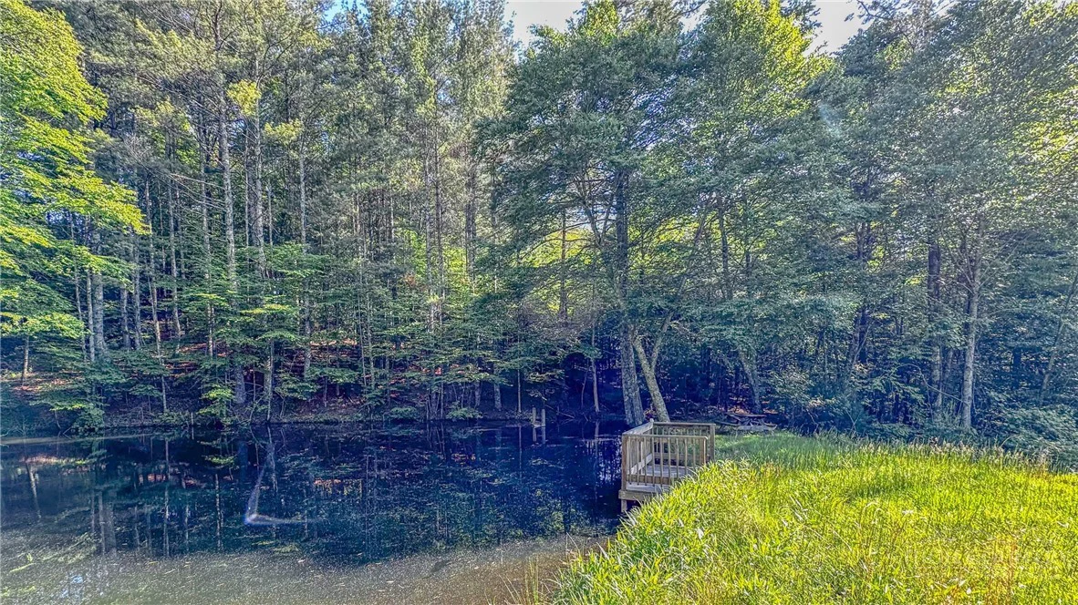 Image number 5 for the current listing