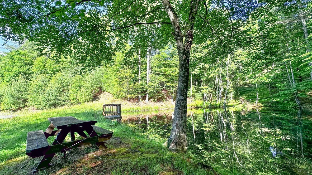 Image number 7 for the current listing