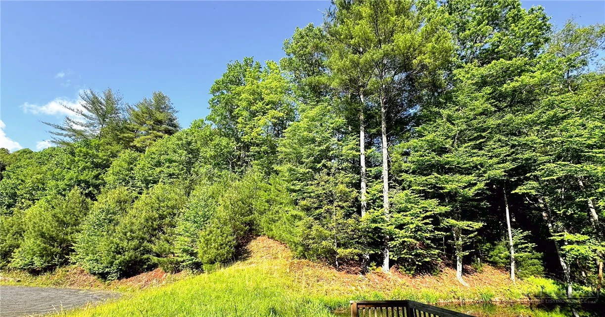 Image number 8 for the current listing