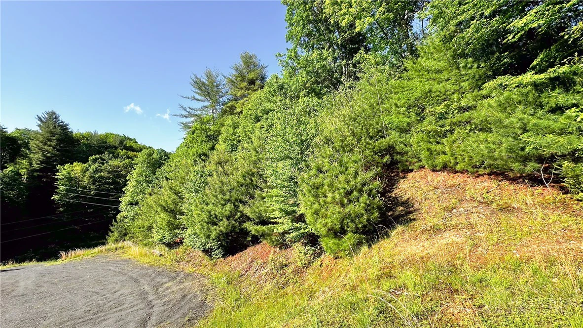 Image number 9 for the current listing
