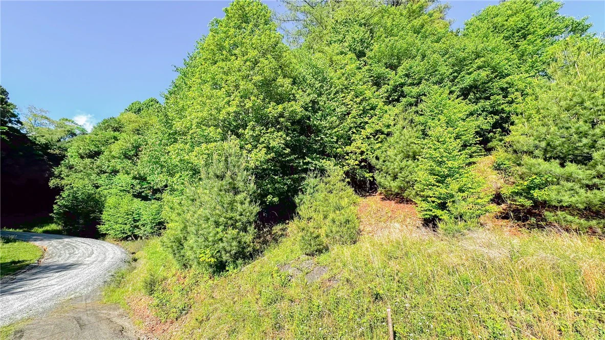 Image number 10 for the current listing