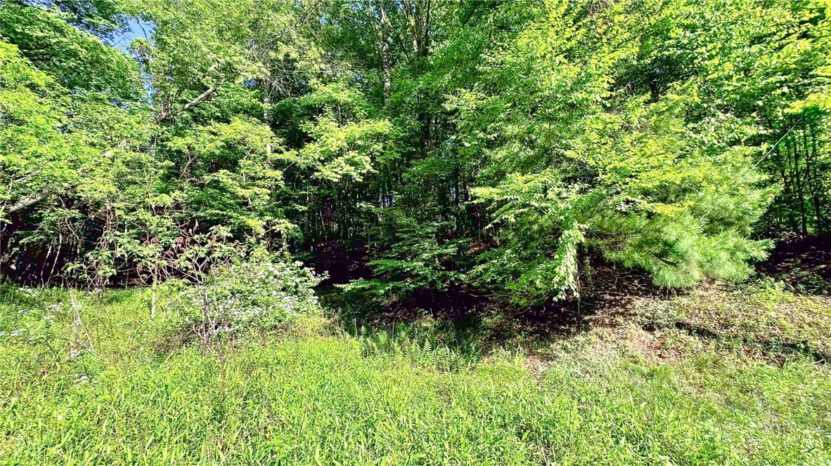 Image number 11 for the current listing