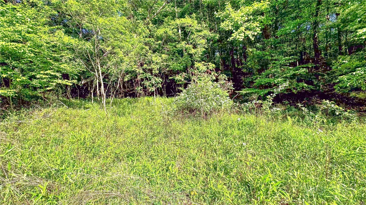 Image number 13 for the current listing