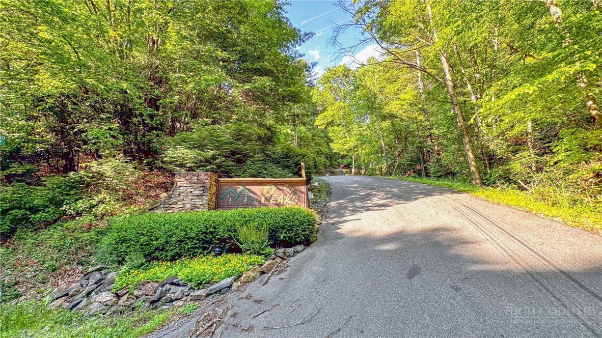 Image number 14 for the current listing
