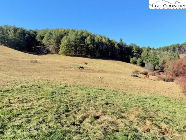 Image number 1 for the current listing