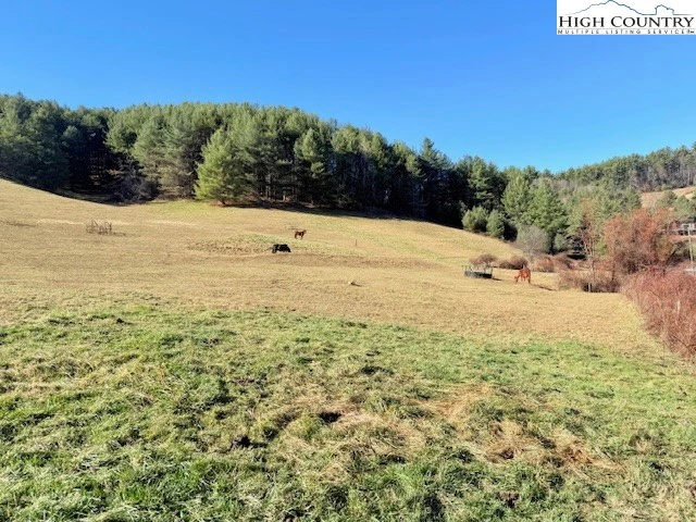 Image number 4 for the current listing