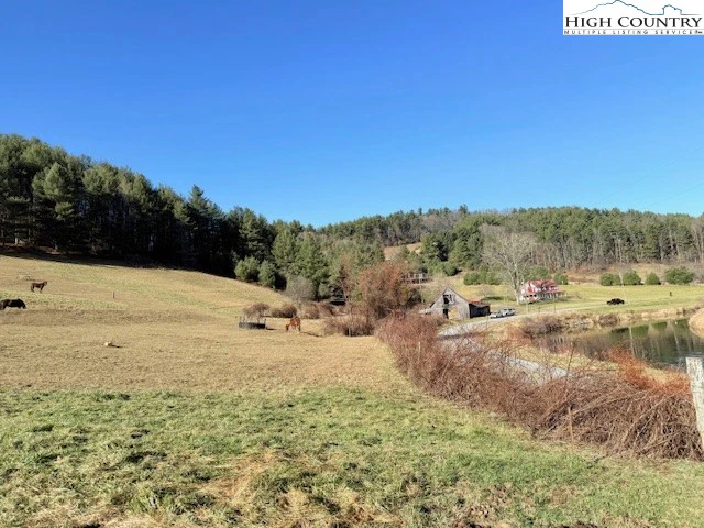 Image number 7 for the current listing