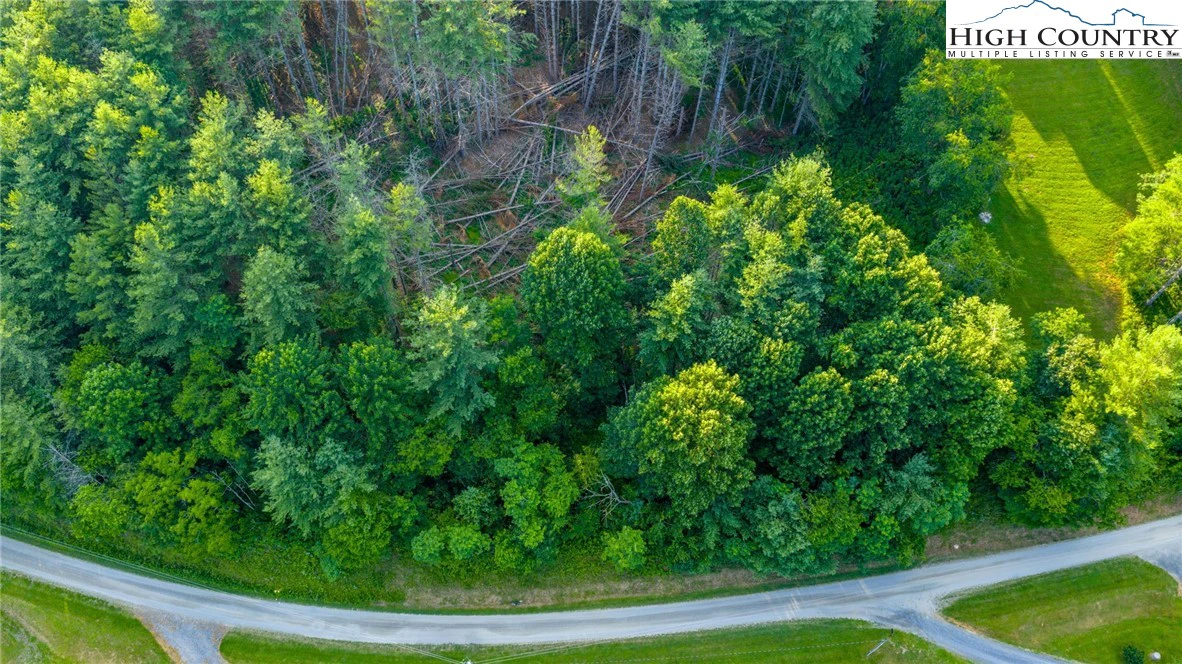 Image number 5 for the current listing