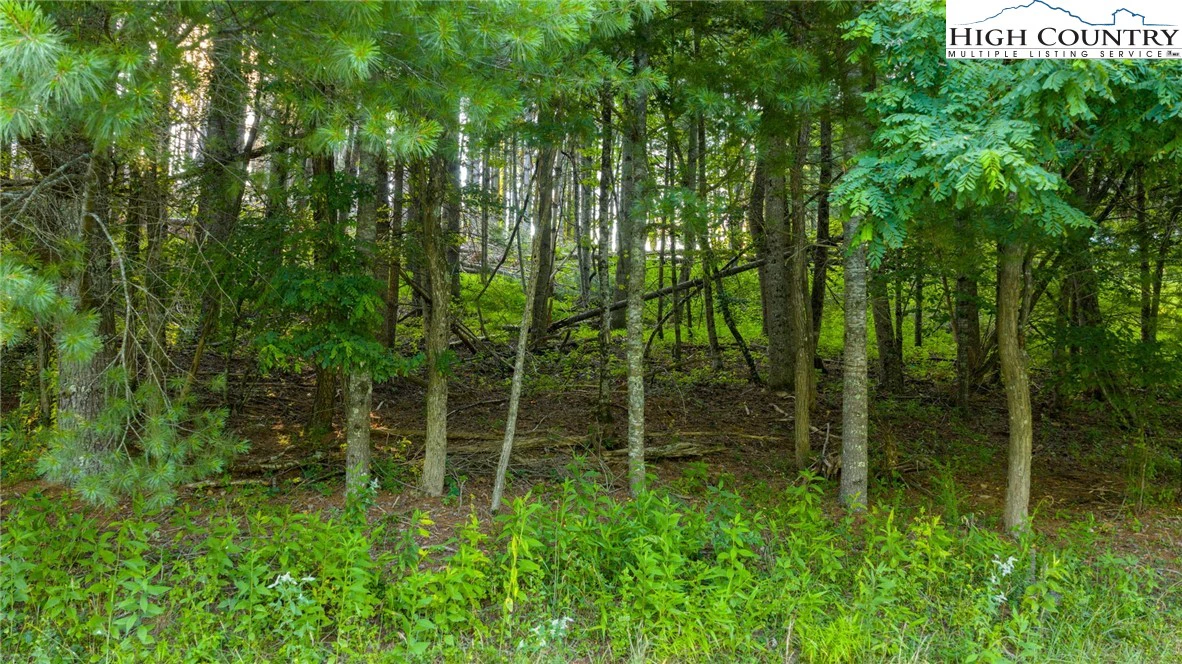 Image number 3 for the current listing