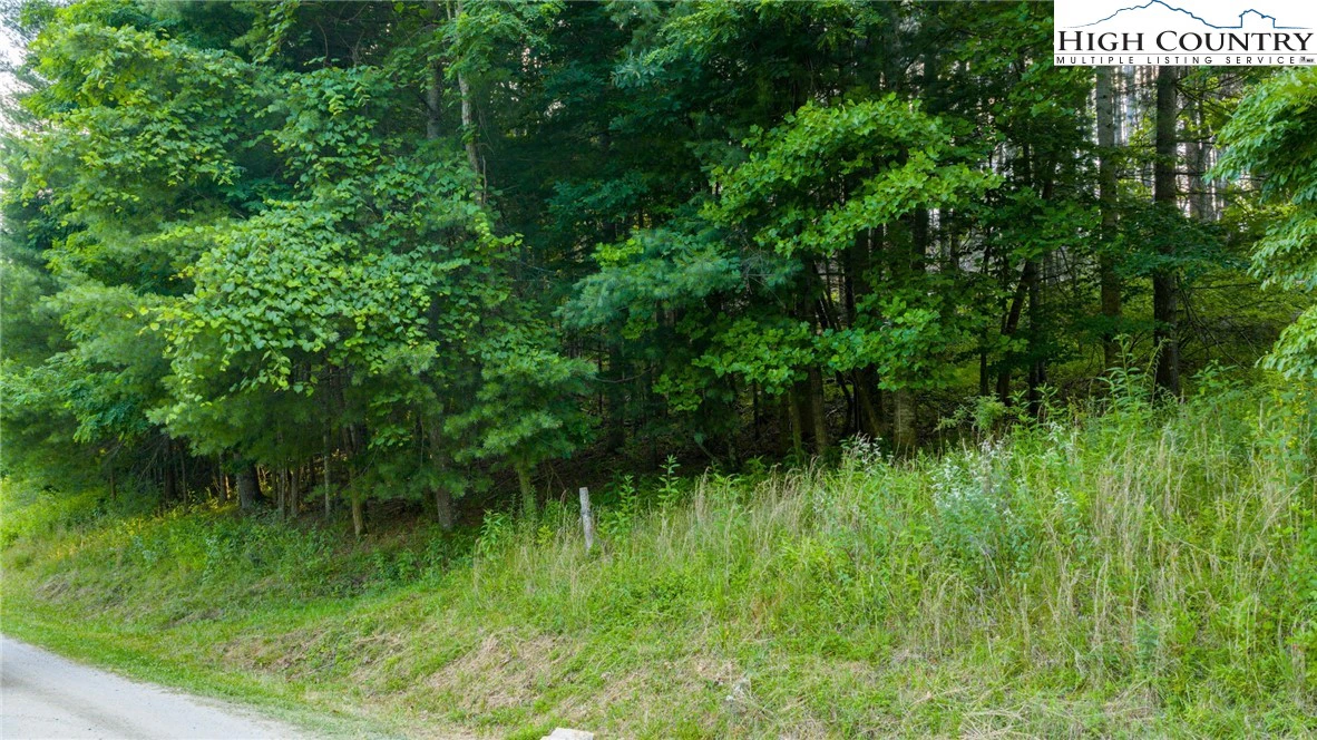 Image number 20 for the current listing