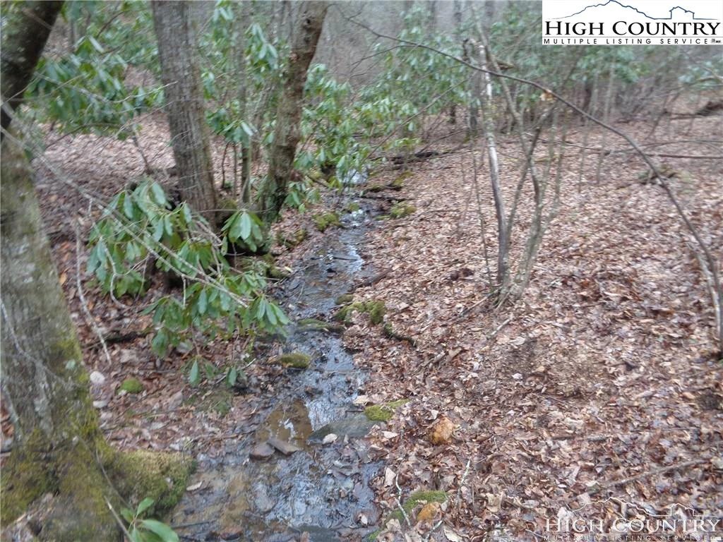 Image number 1 for the current listing