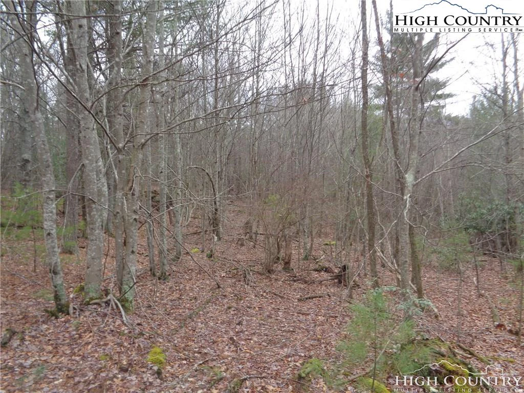 Image number 11 for the current listing