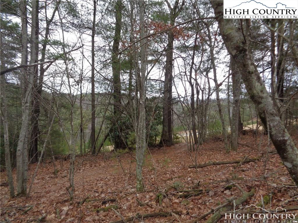 Image number 13 for the current listing