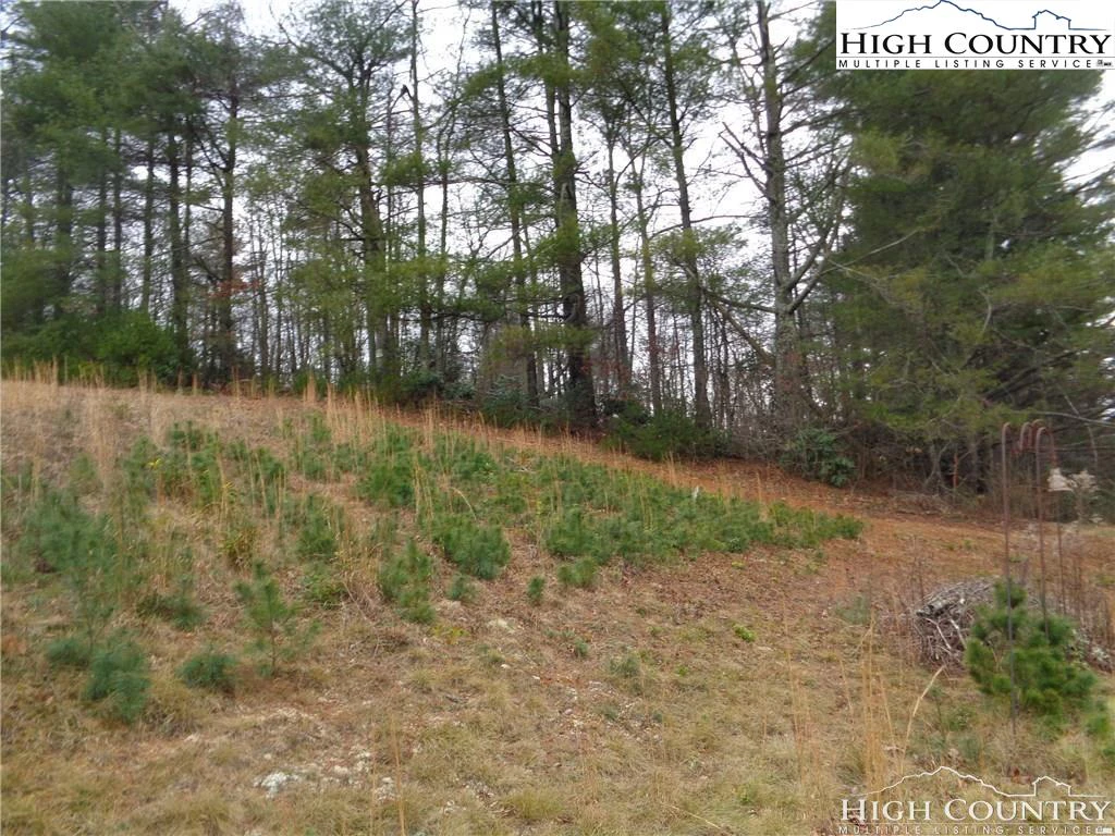 Image number 5 for the current listing