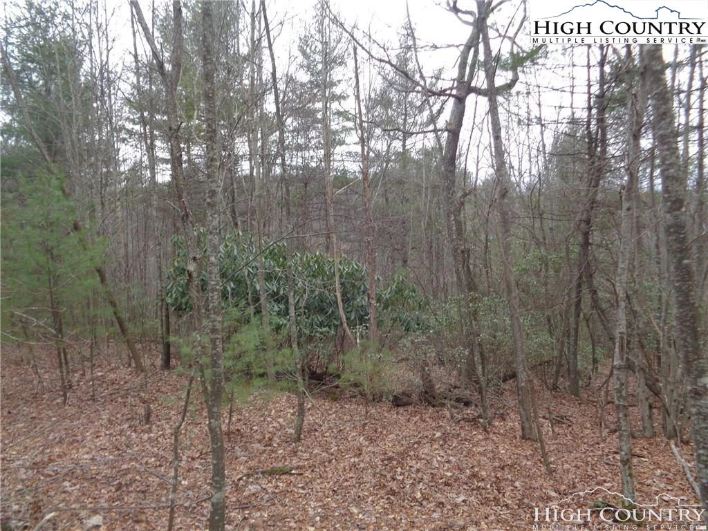 Image number 7 for the current listing
