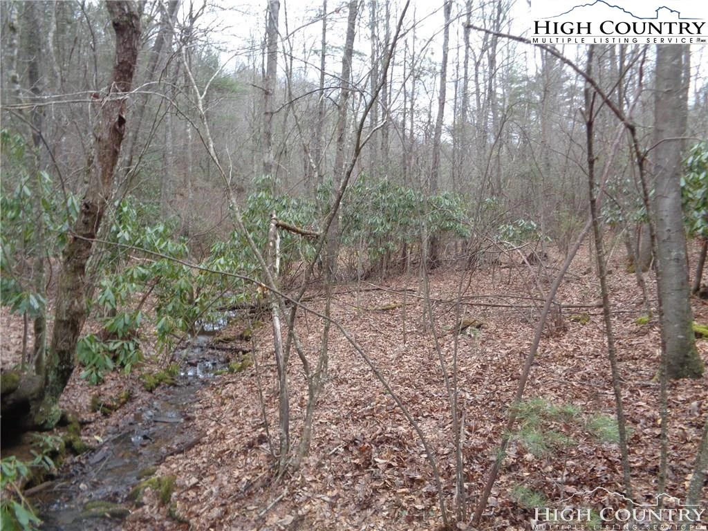 Image number 8 for the current listing