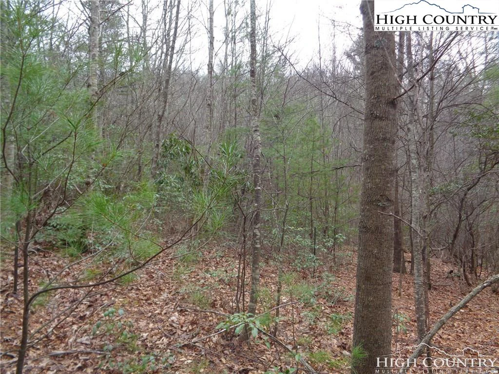 Image number 9 for the current listing