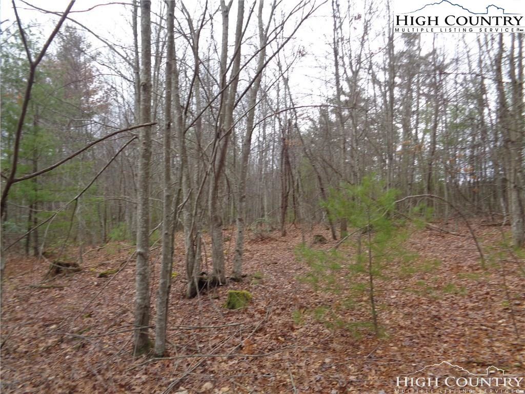 Image number 10 for the current listing