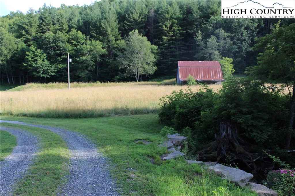 Image number 1 for the current listing