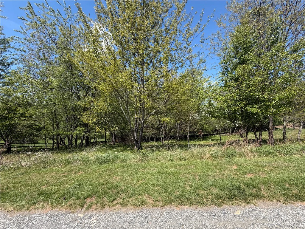 Image number 1 for the current listing