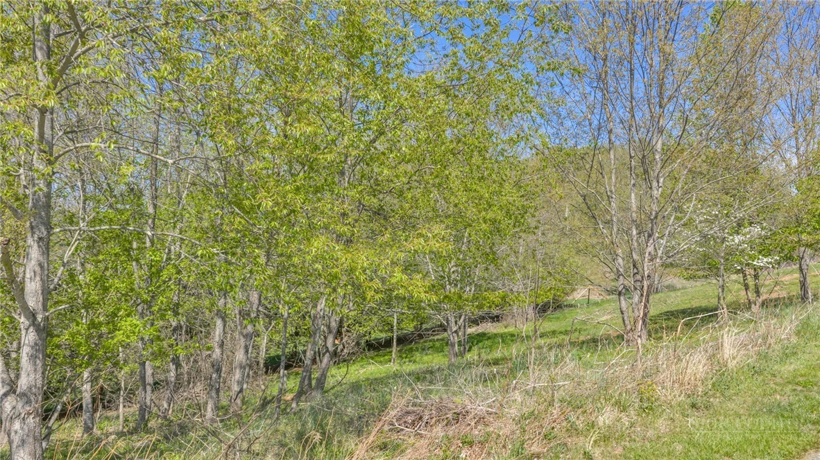 Image number 3 for the current listing