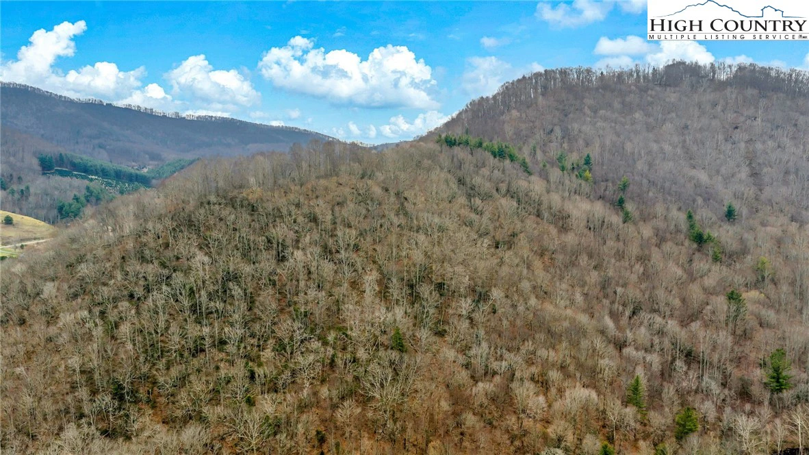 Image number 18 for the current listing