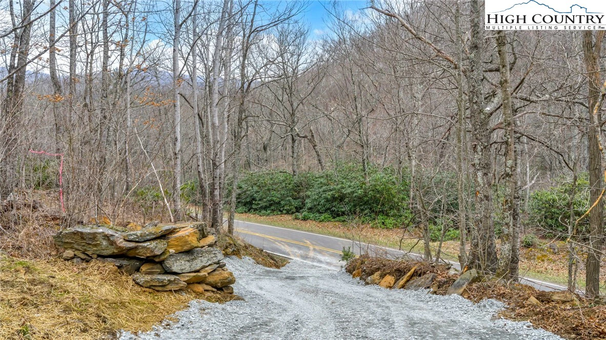 Image number 15 for the current listing