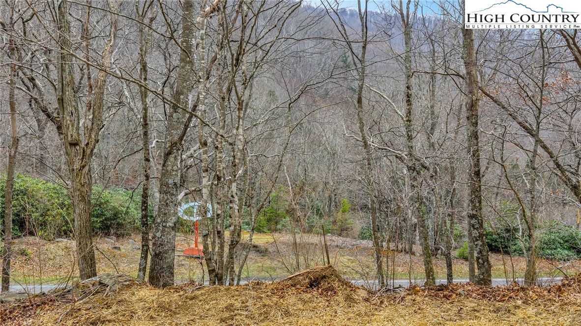Image number 9 for the current listing