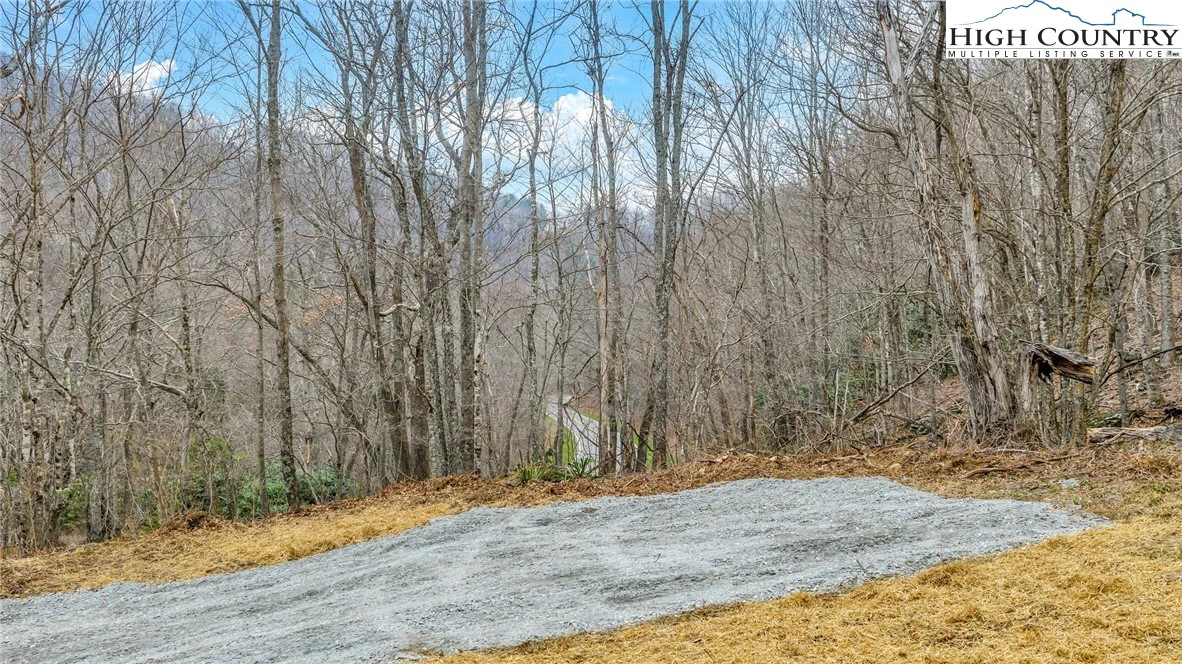 Image number 13 for the current listing