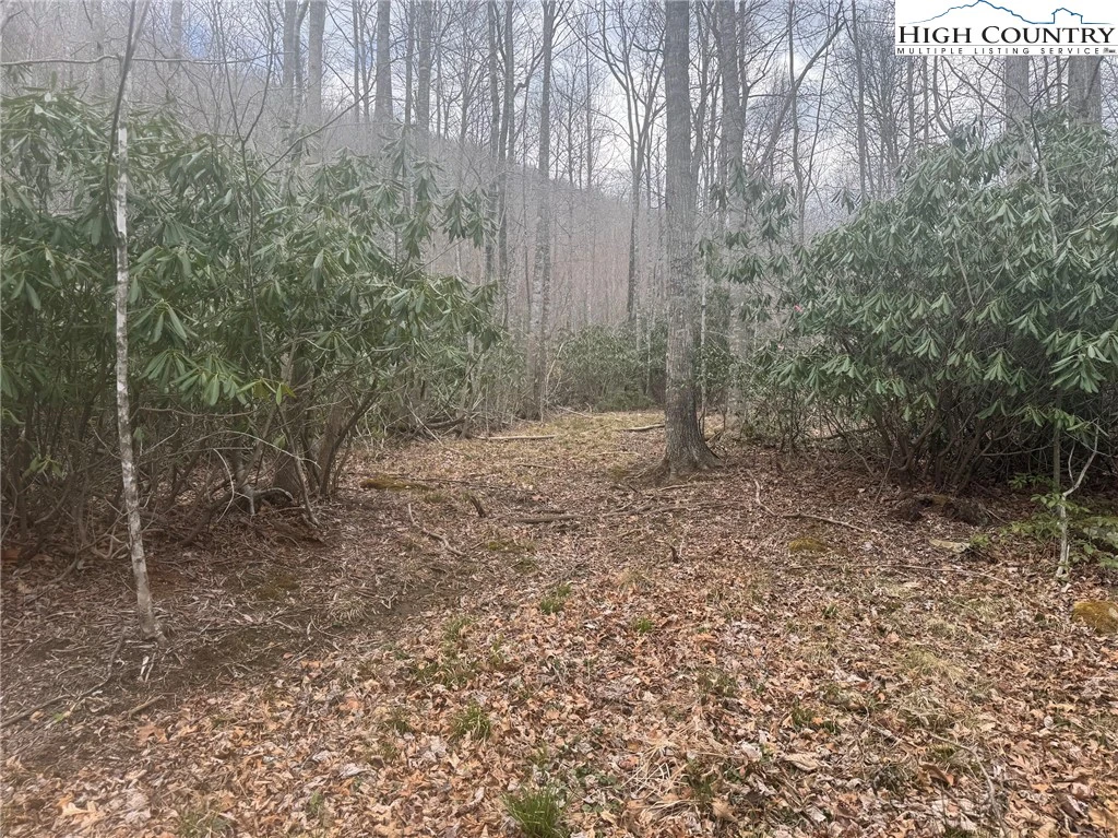 Image number 11 for the current listing