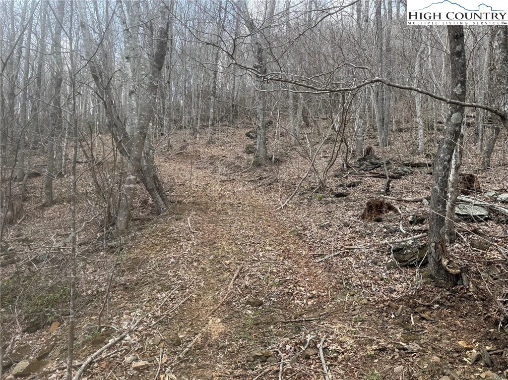 Image number 3 for the current listing