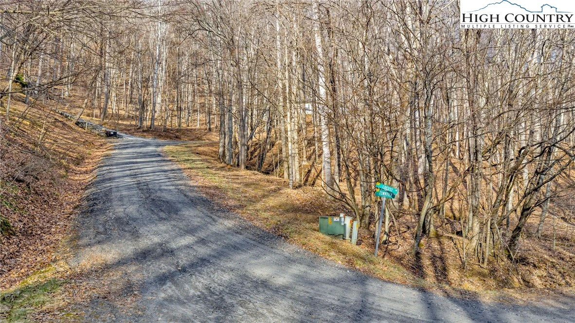 Image number 5 for the current listing