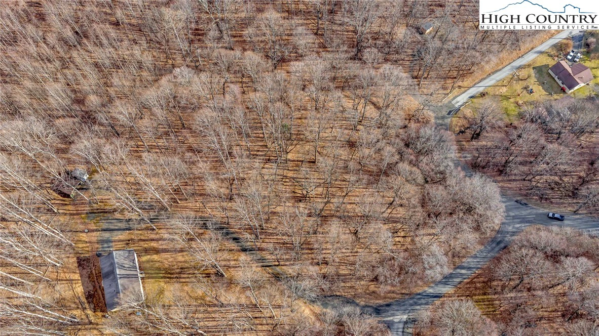 Image number 4 for the current listing