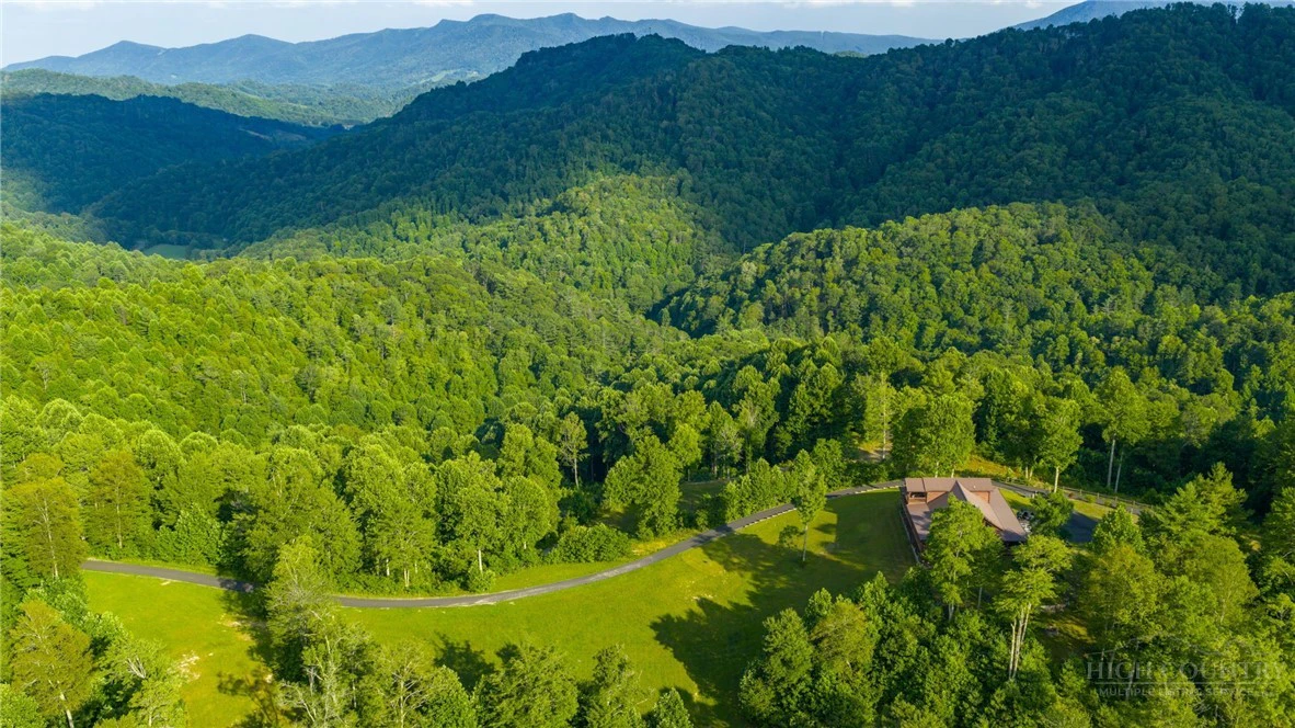 Image number 1 for the current listing