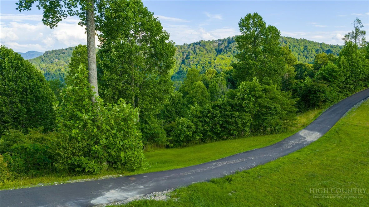Image number 3 for the current listing
