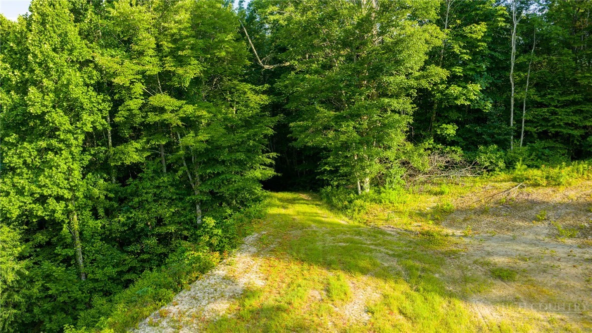 Image number 6 for the current listing