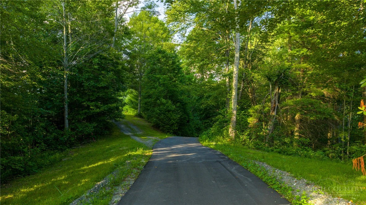 Image number 14 for the current listing
