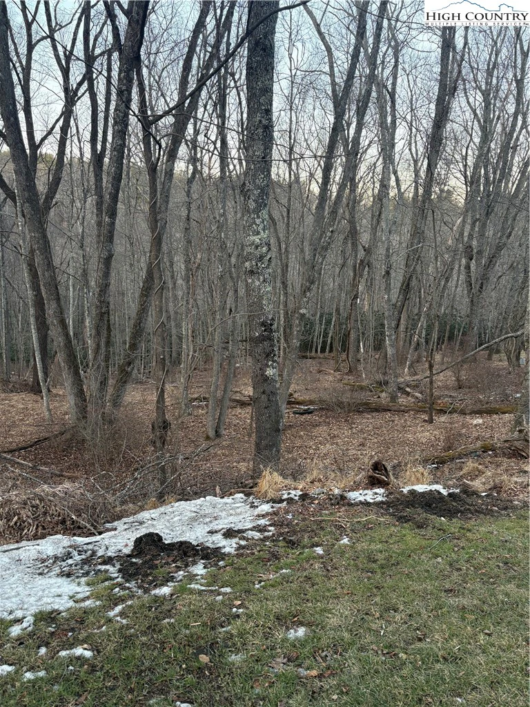Image number 1 for the current listing