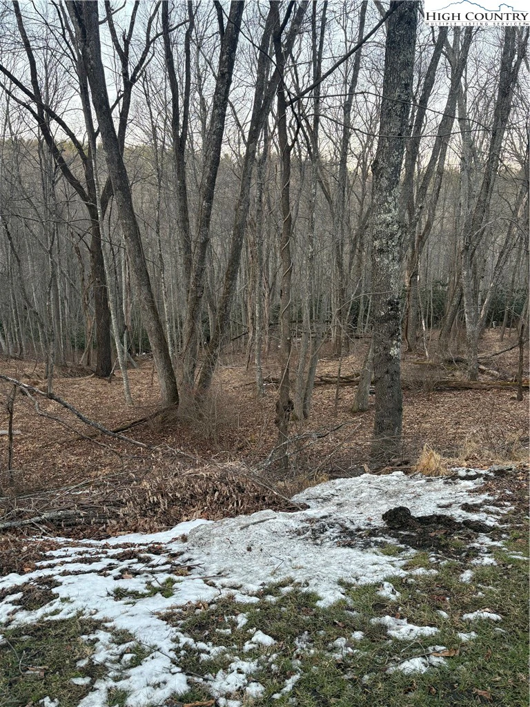 Image number 3 for the current listing
