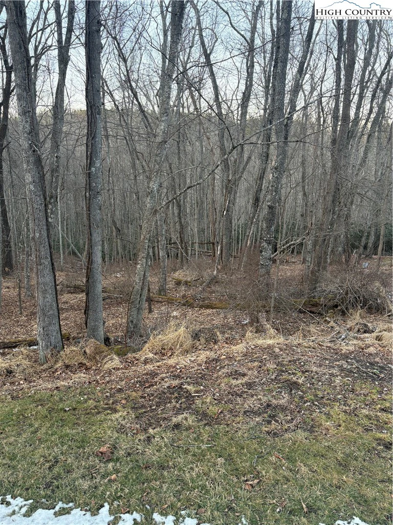Image number 4 for the current listing