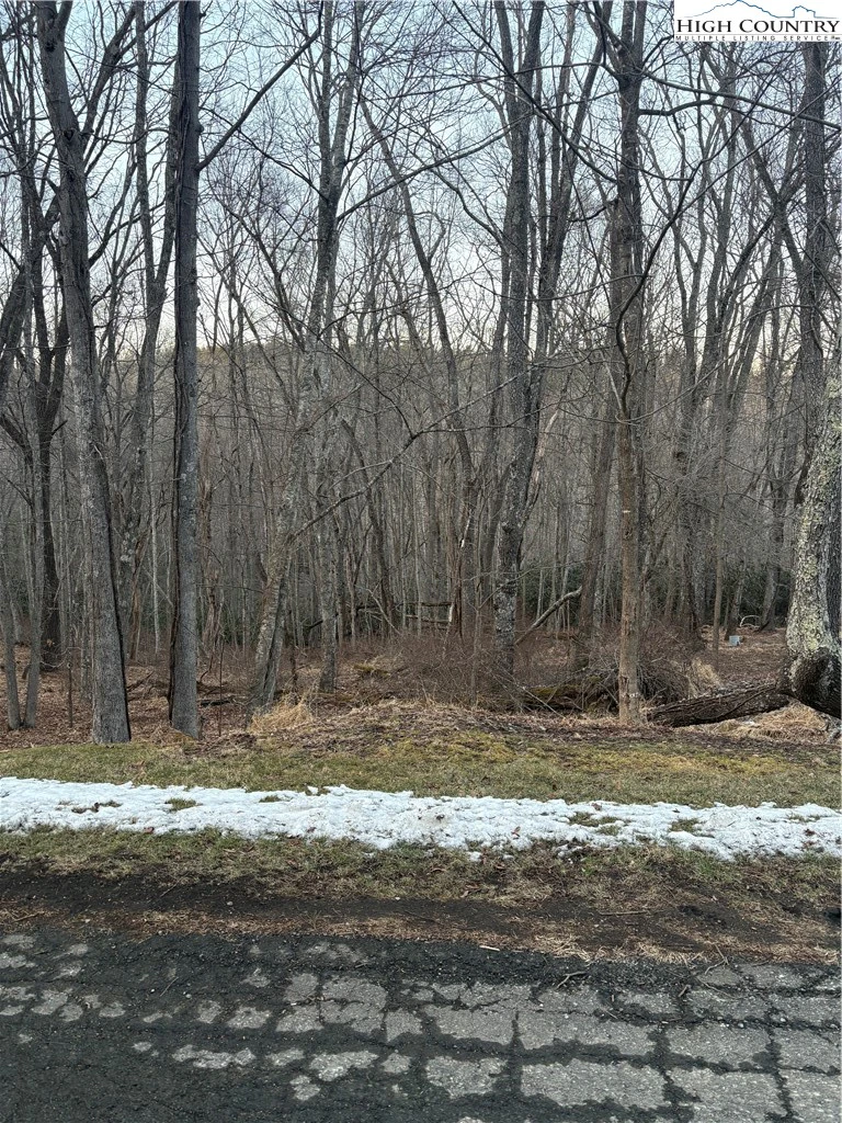 Image number 5 for the current listing
