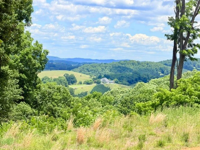 Image number 1 for the current listing