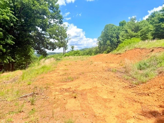 Image number 2 for the current listing