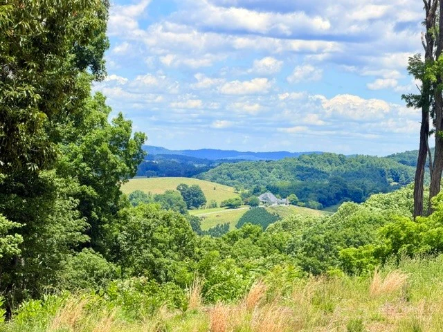 Image number 3 for the current listing