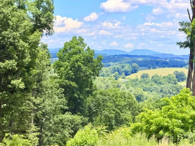 Image number 5 for the current listing
