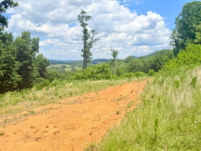 Image number 6 for the current listing